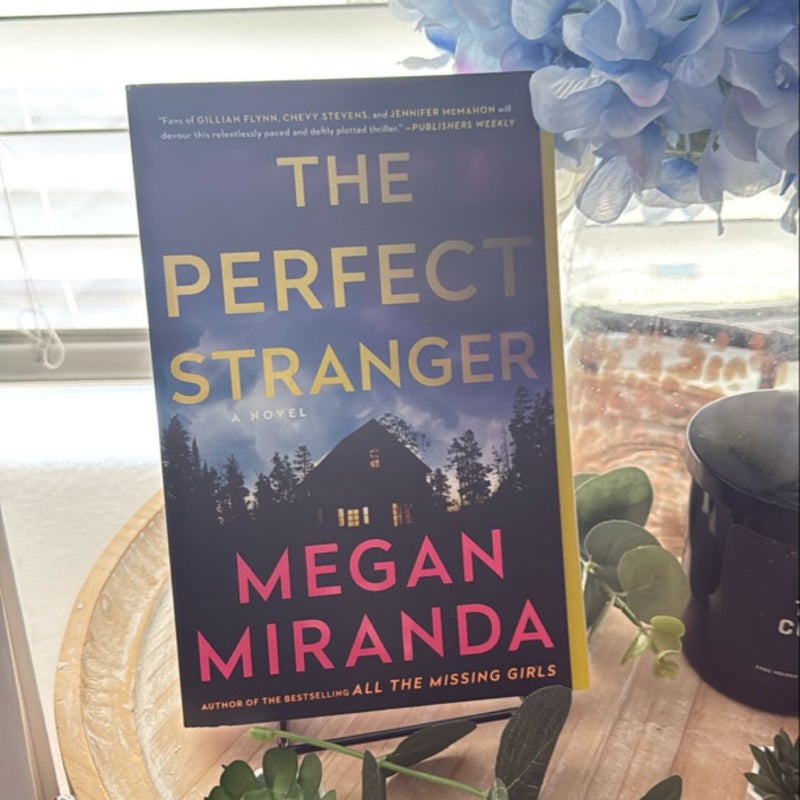 The Perfect Stranger