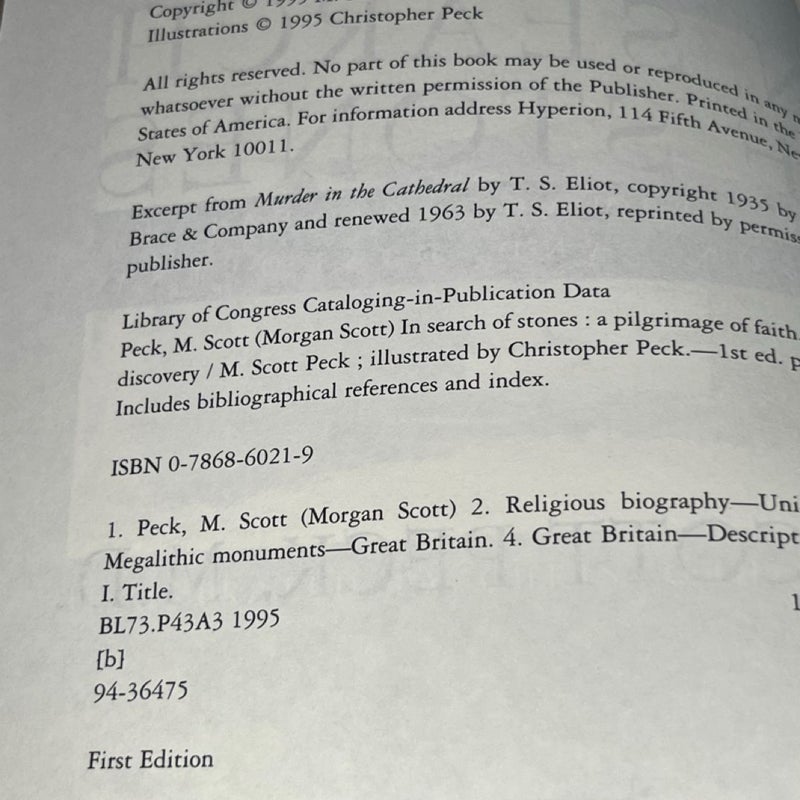 In Search of Stones: A Pilgrimage of Faith, Reason, and Discovery
