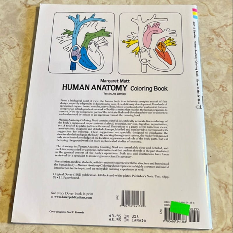 Human Anatomy