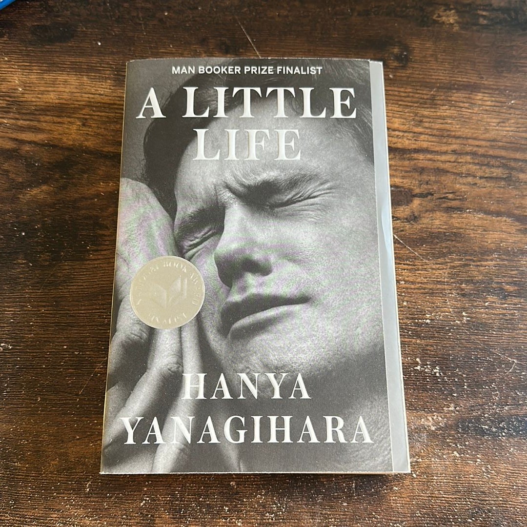 A Little Life by Hanya Yanagihara – Triumph Of The Now