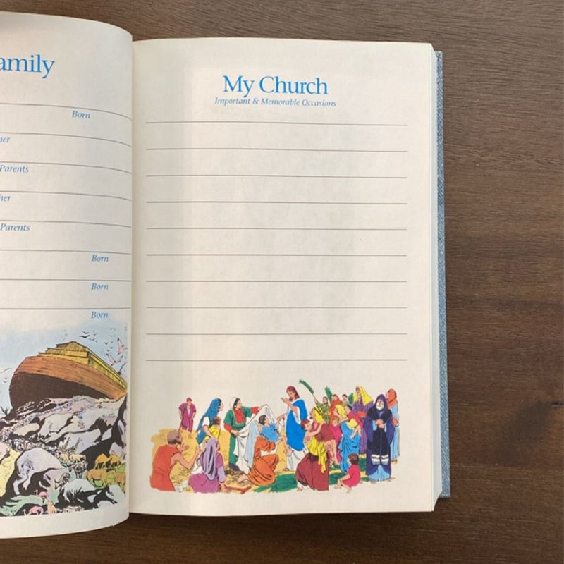 The Illustrated Holy Bible Living Values Edition