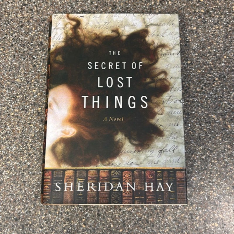 The Secret of Lost Things