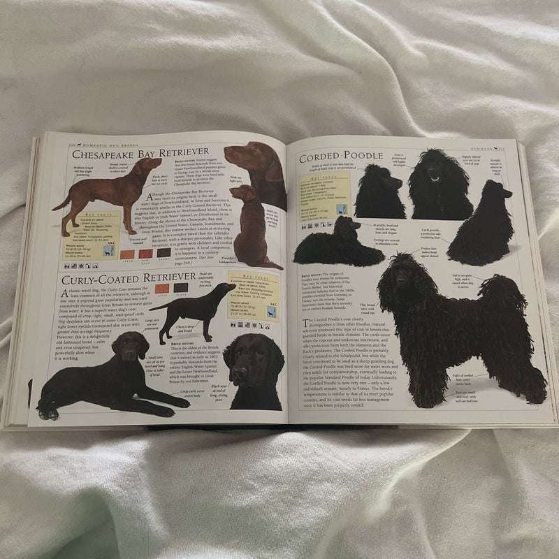 趣味・スポーツ・実用 The new Encyclopedia of the DOG The New Encyclopedia Of the Dog Bruce Fogle DVM Reference