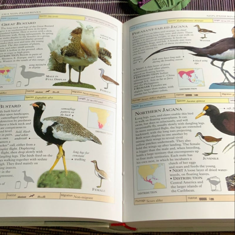 Birds of the World