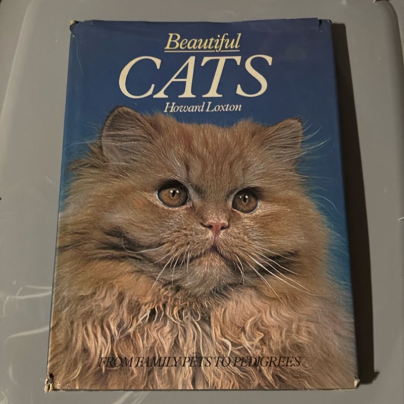 Beautiful Cats