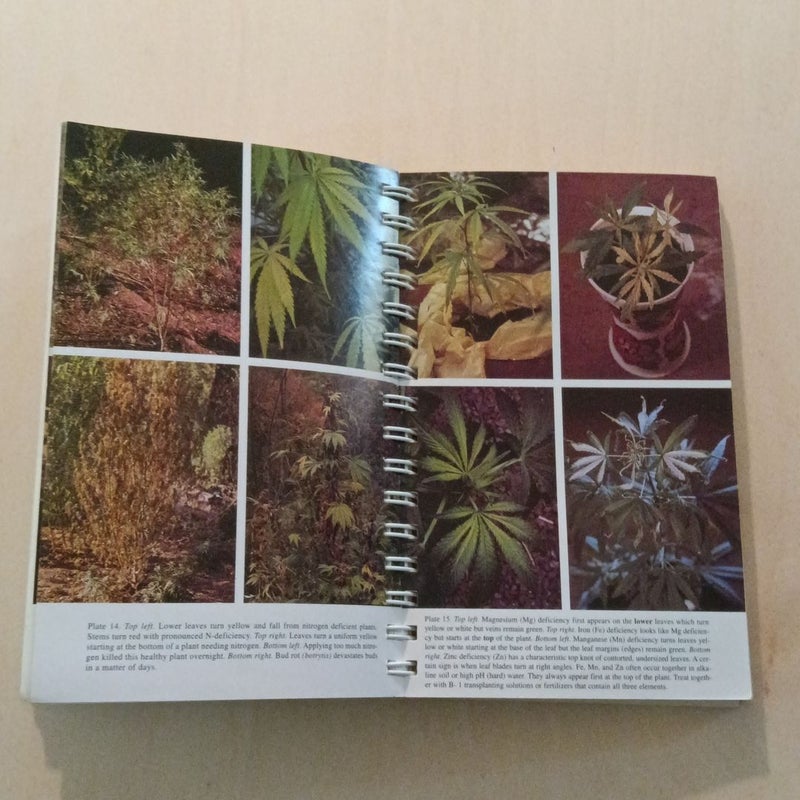 Marijuana Grower's Guide Deluxe