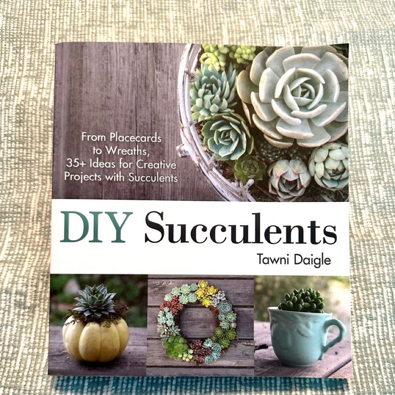 DIY Succulents