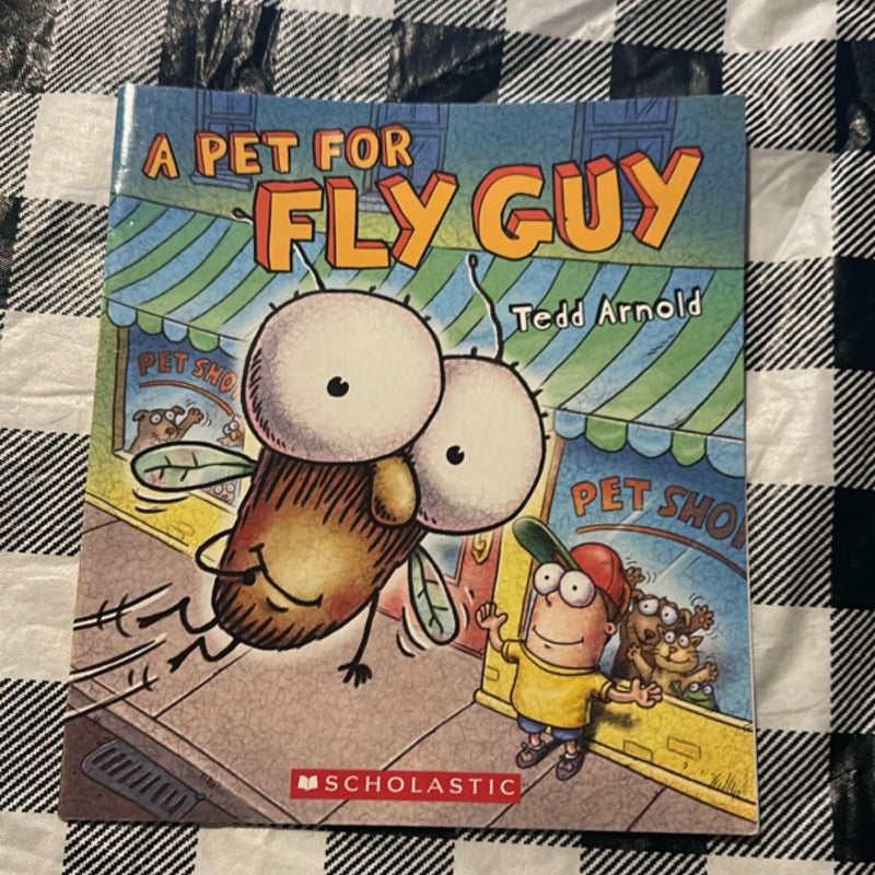 Fly Guy, Lego and Others Bundle