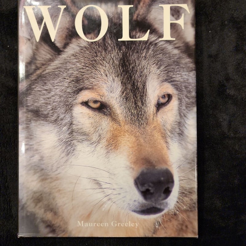 Taming the Wolf