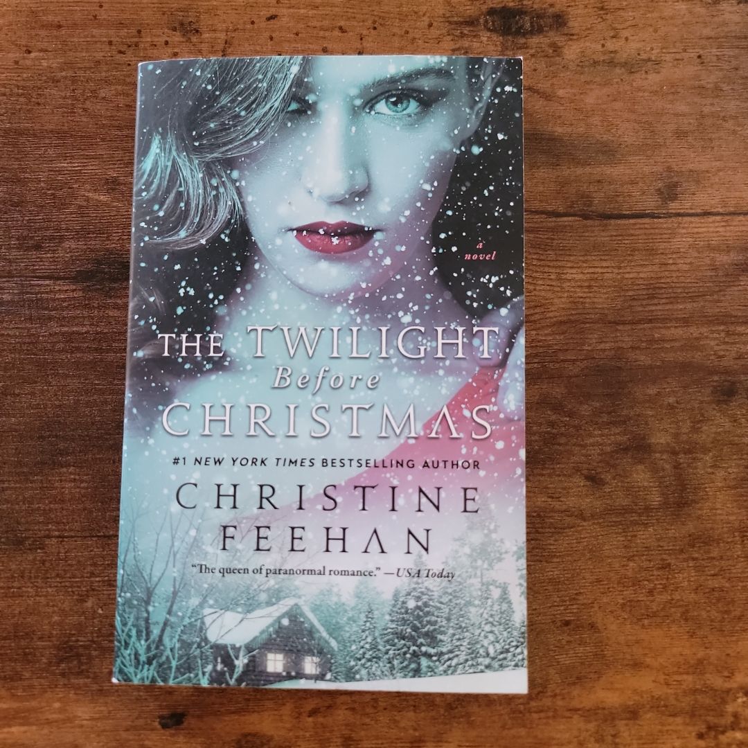 The Twilight Before Christmas