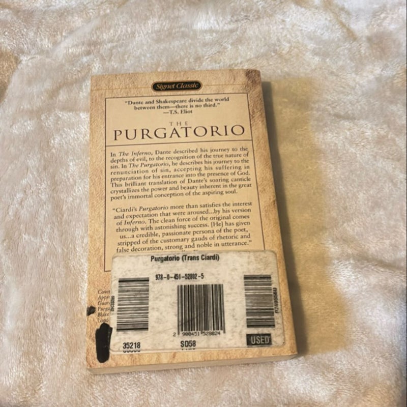 The Purgatorio