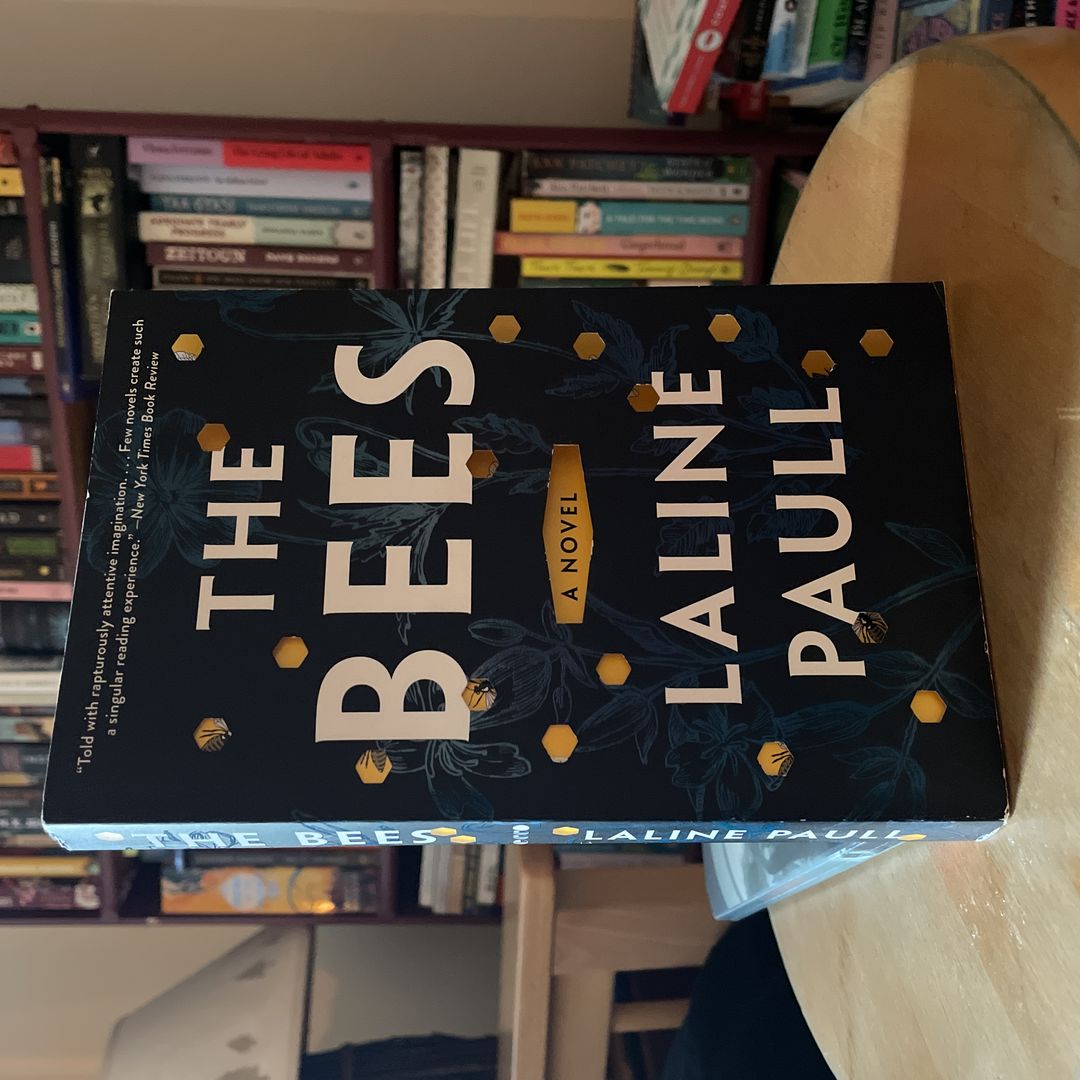 Sale image for 53f69746-4c22-4d4f-b366-52293178a5e9-1Khx1kYsjUcahCQTUX5Zp8vUBT23