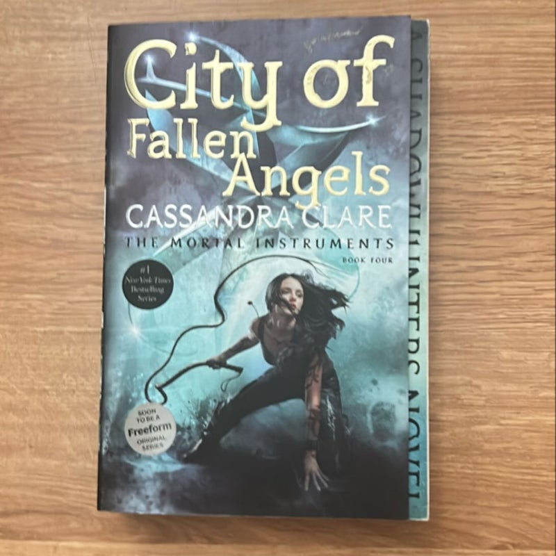 City of Fallen Angels