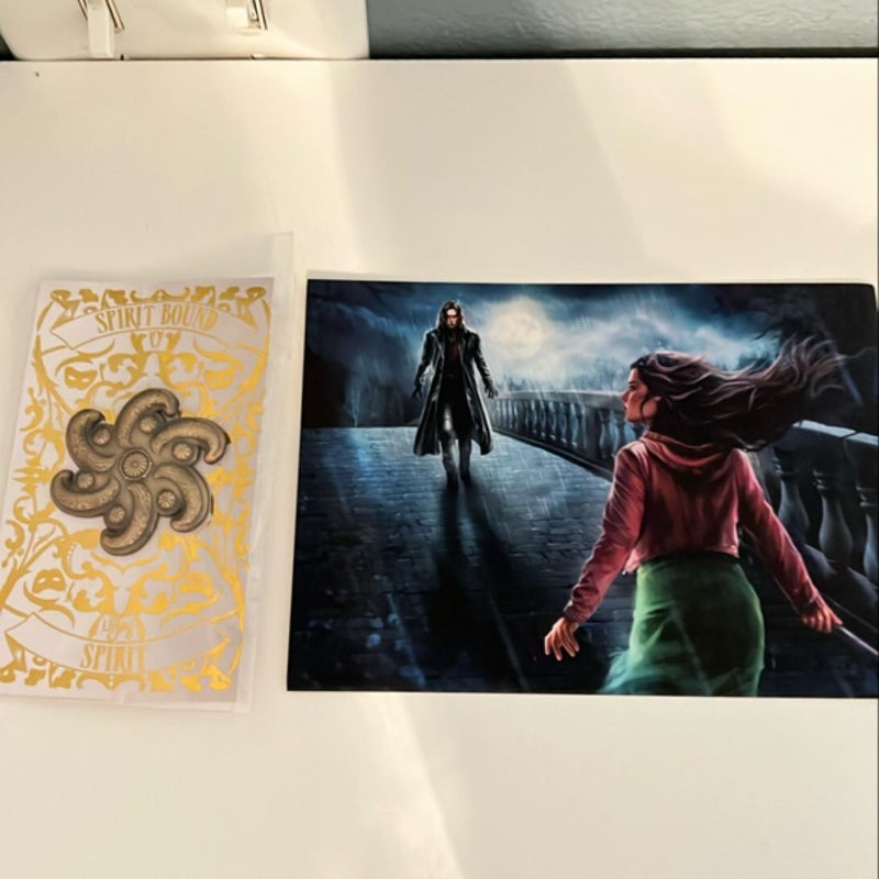 Vampire Academy Box Set Litjoy 