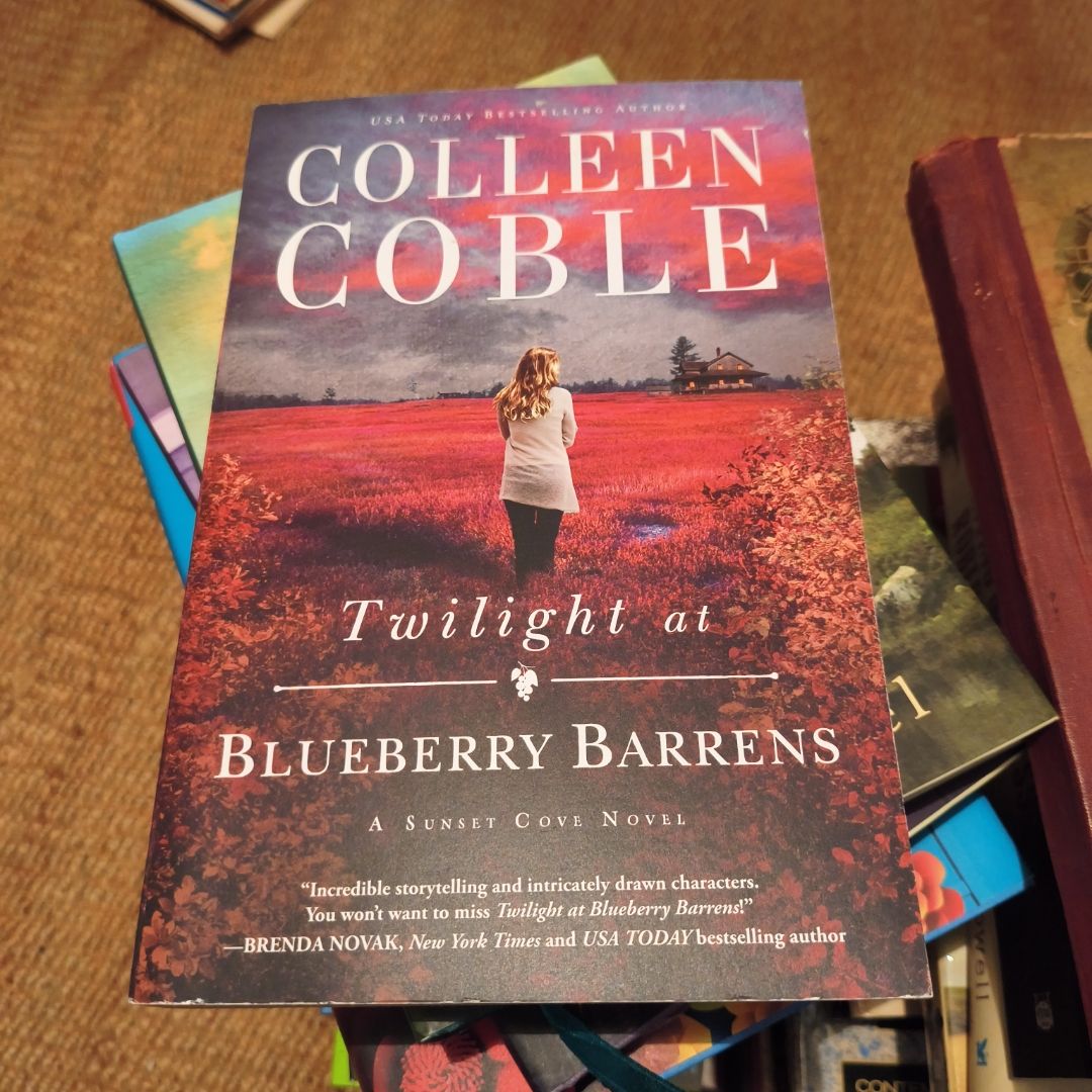 Twilight at Blueberry Barrens