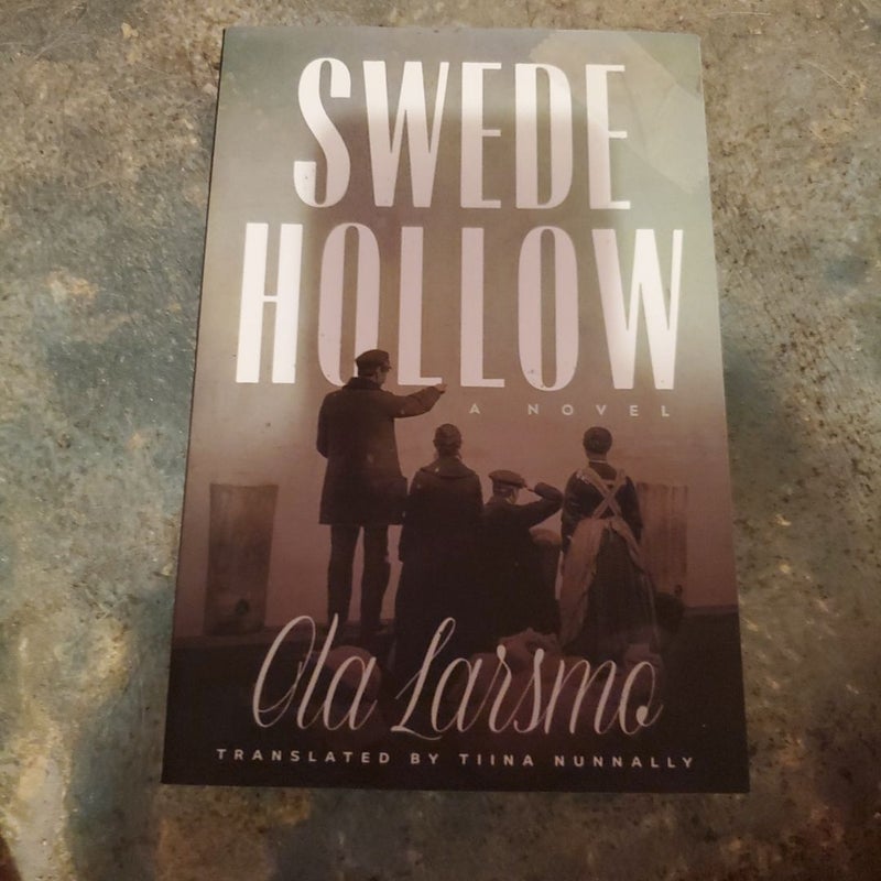 Swede Hollow