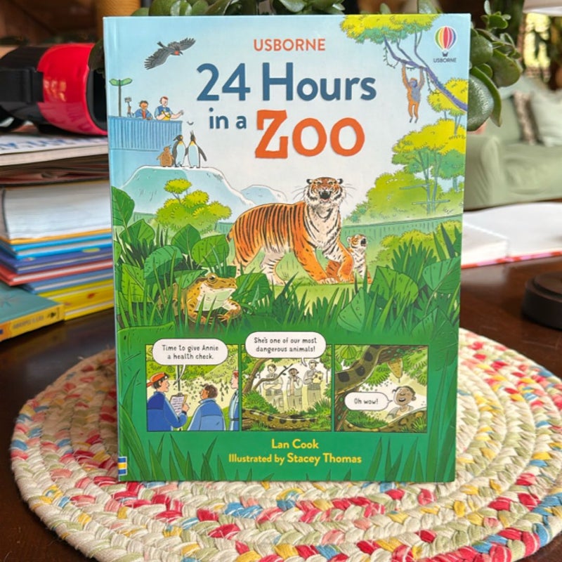 Usborne 24 hours in the…bundle