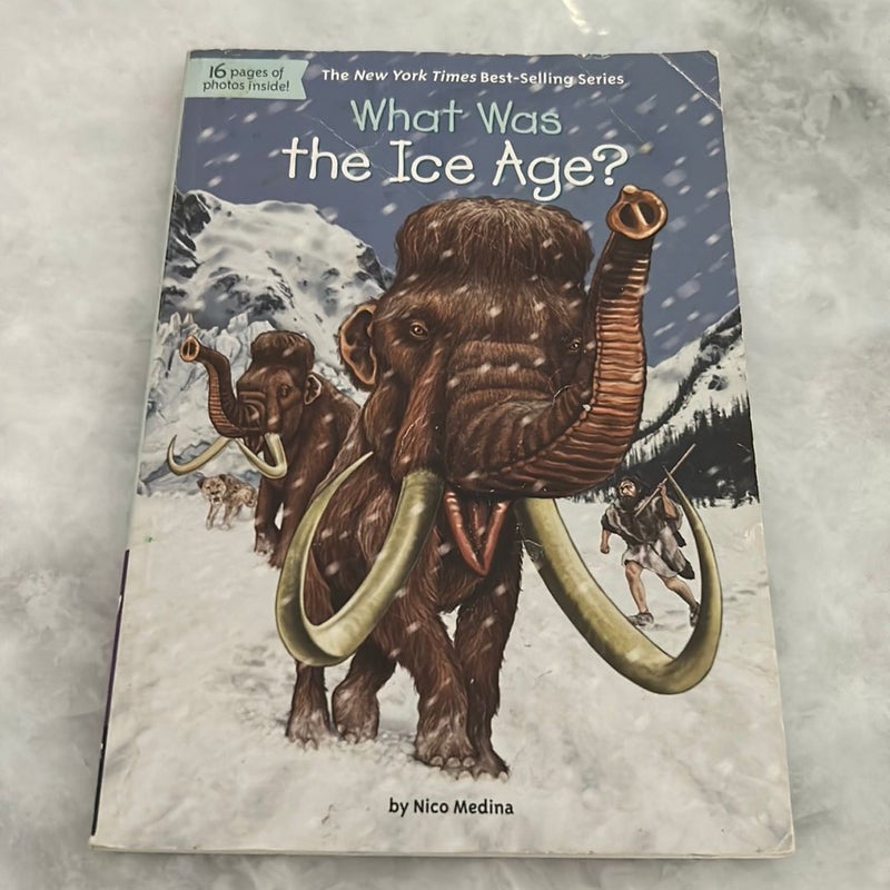 What Was the Ice Age?