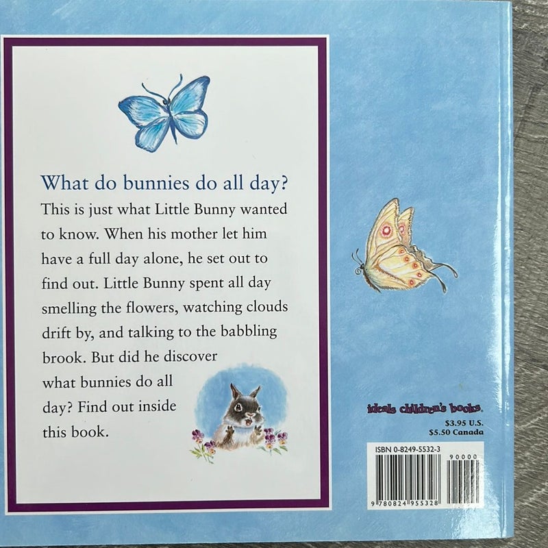 What Do Bunnies Do All Day? by Judy Mastrangelo, Paperback | Pangobooks