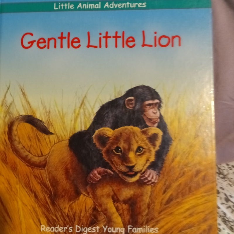 Gentle Little Lion 