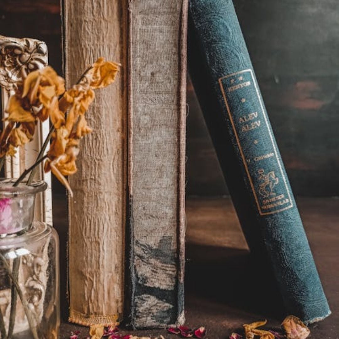 The Bookworm's Burrow