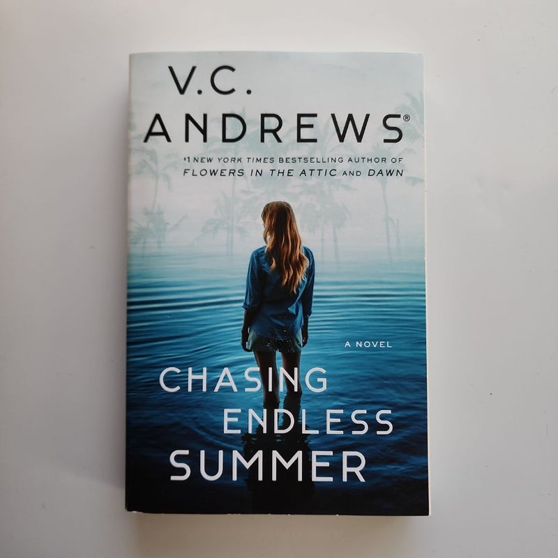 Chasing Endless Summer