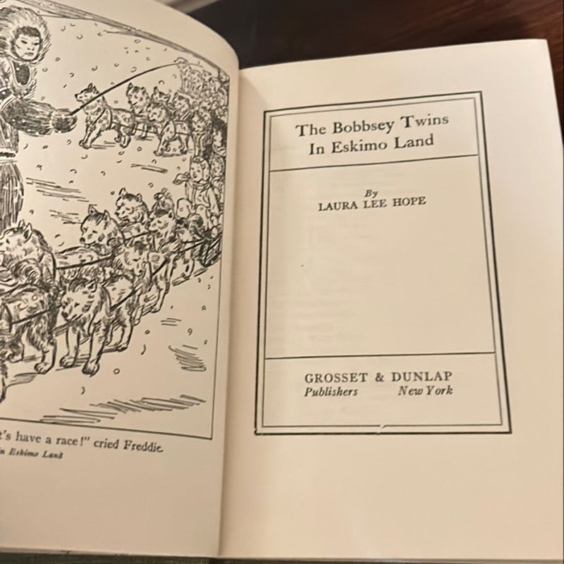 The Bobbsey Twins in Eskimo Land 