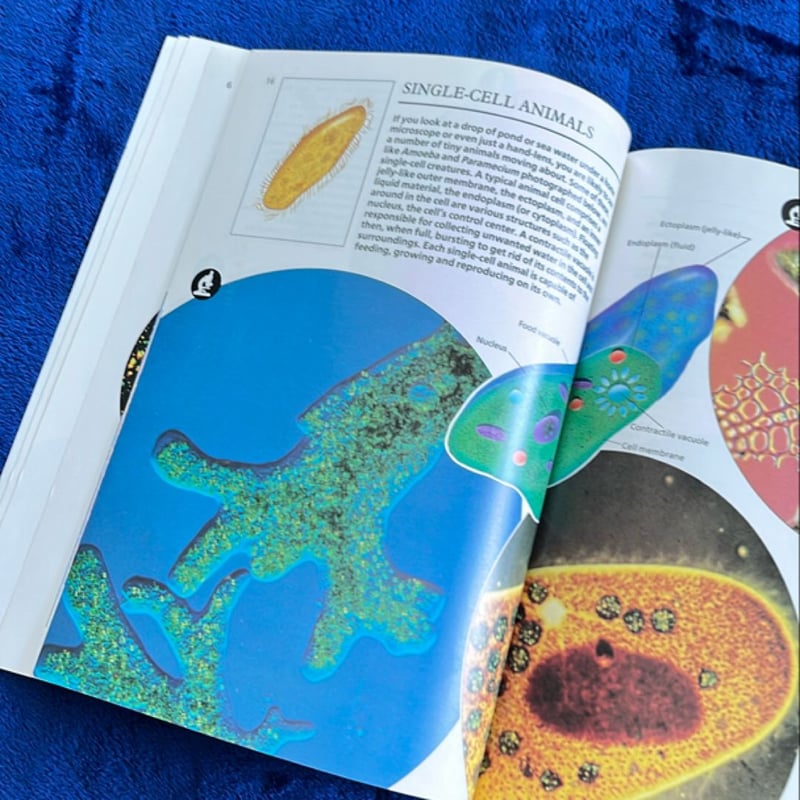 Through the Microscope by Lionel Bender, Paperback | Pangobooks