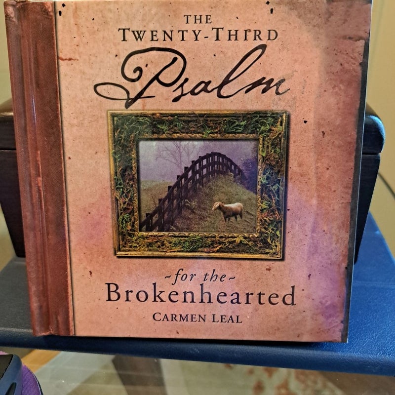 The Twenty-Third Psalm for the Brokenhearted