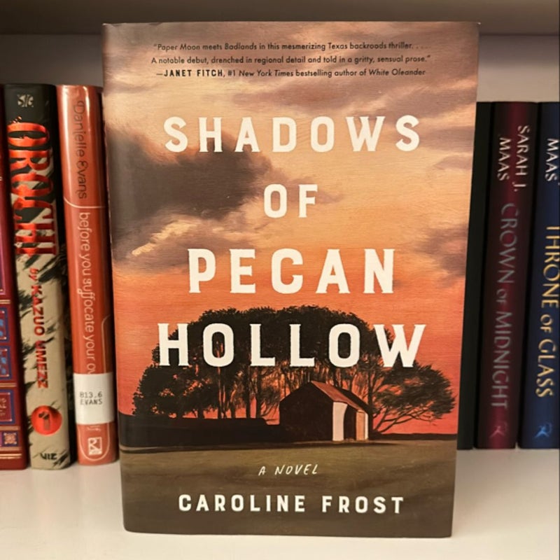 Shadows of Pecan Hollow