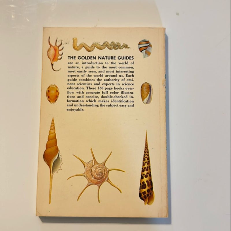 Seashells of the world