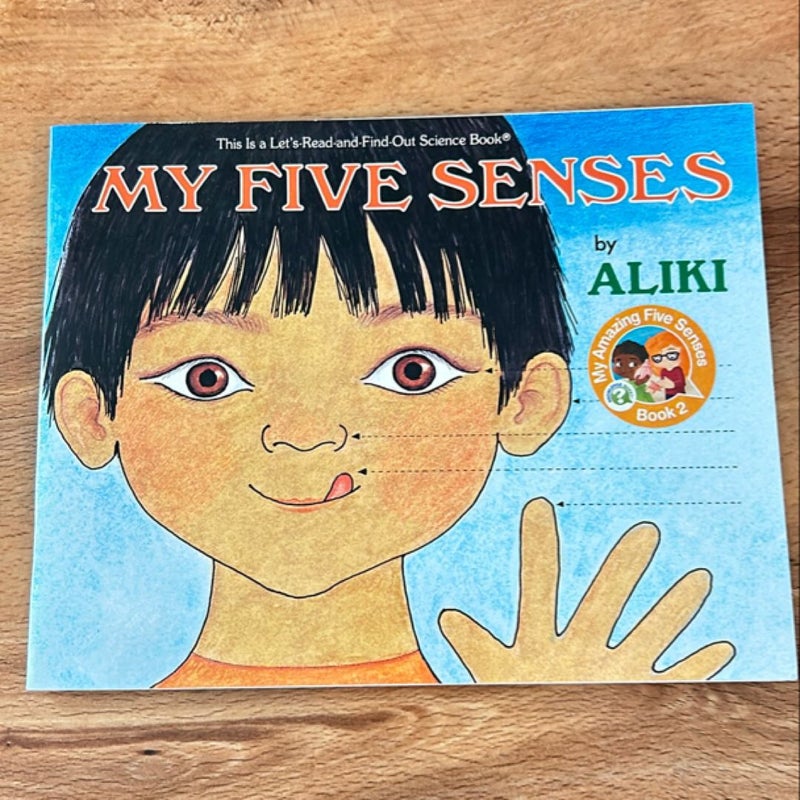 My Five Senses