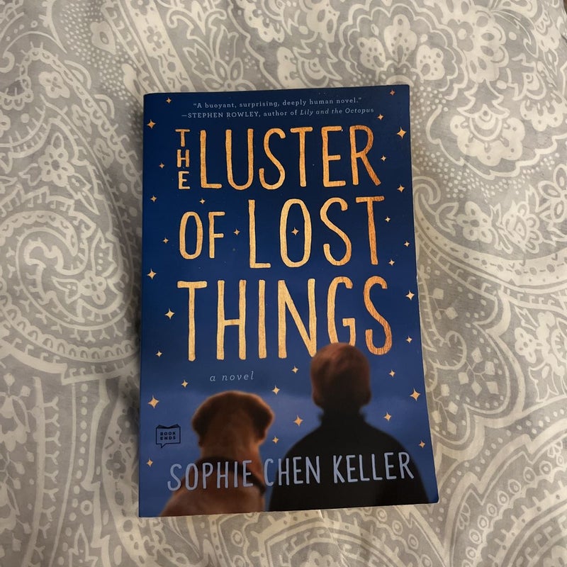 The Luster of Lost Things