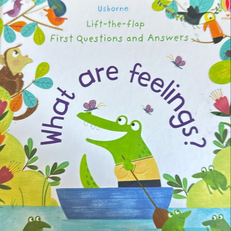 Lift-The-Flap First Questions and Answers What Are Feelings?