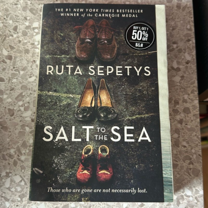 Salt to the Sea