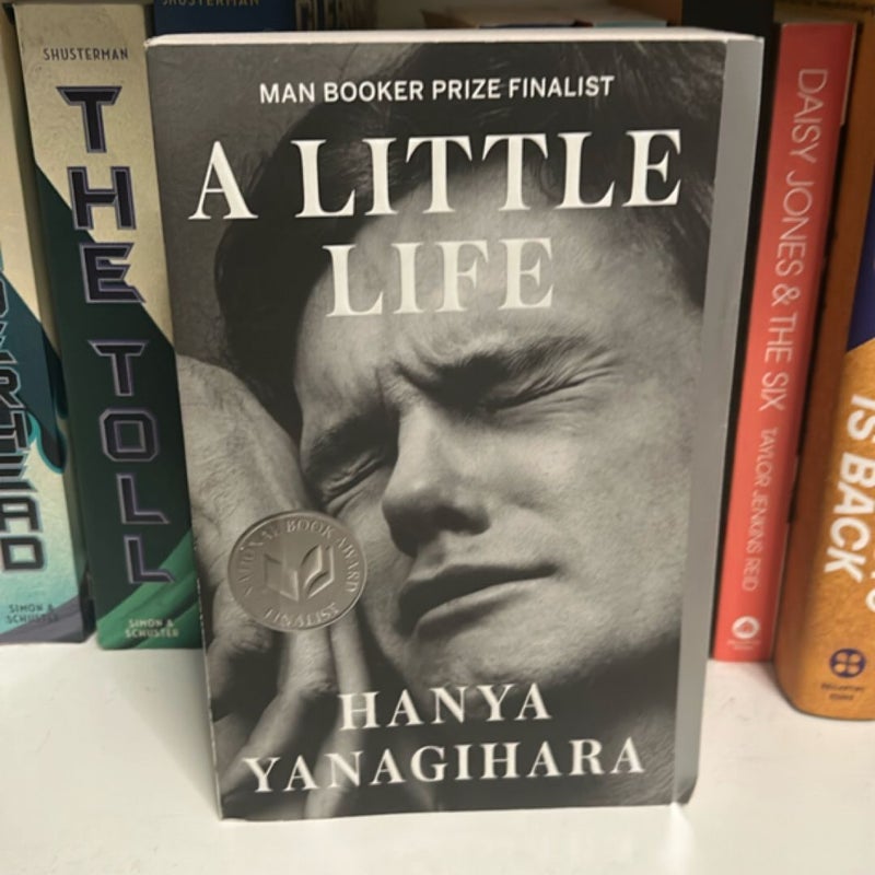 A Little Life