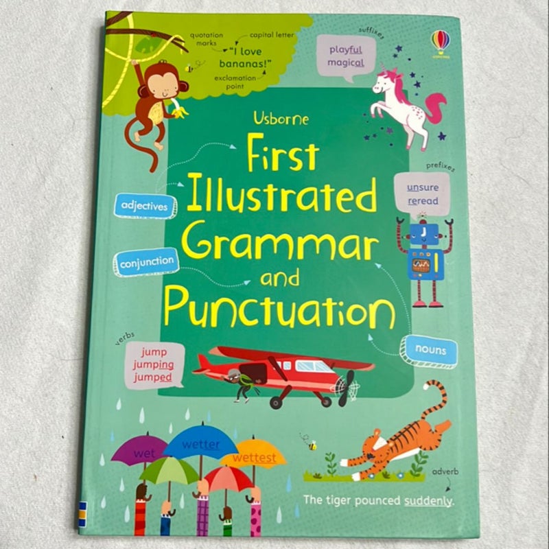 First Illustrated Grammar and Punctuation IR