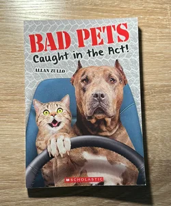 Bad Pets Caught in the Act!
