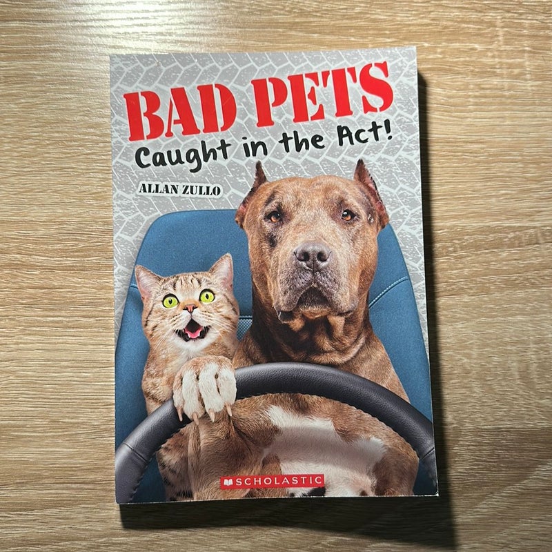 Bad Pets Caught in the Act!