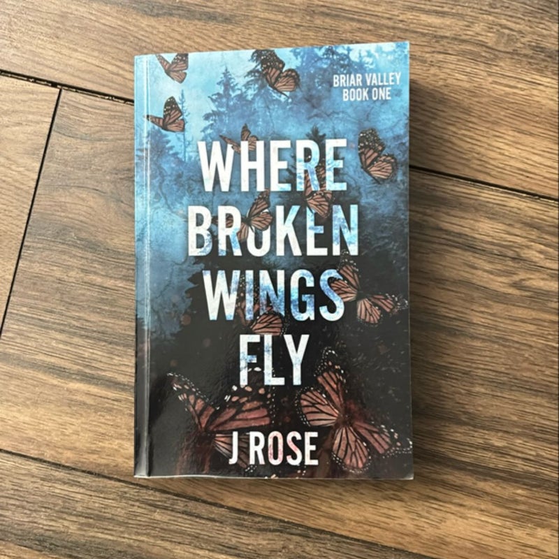 Where Broken Wings Fly