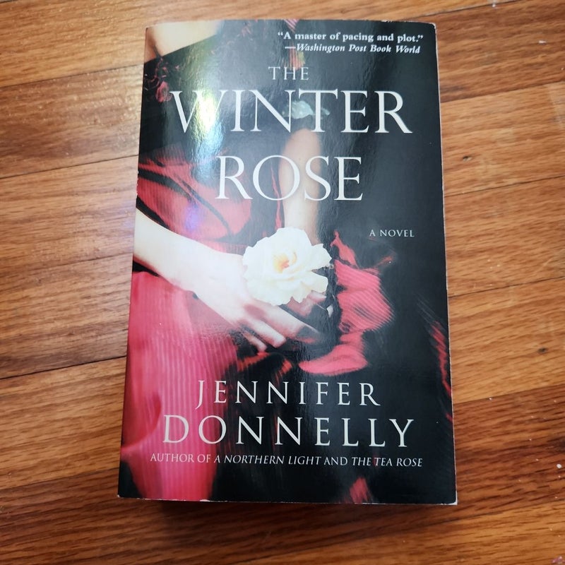 The Winter Rose