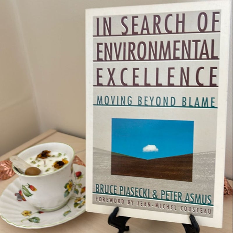 In Search of Environmental Excellence