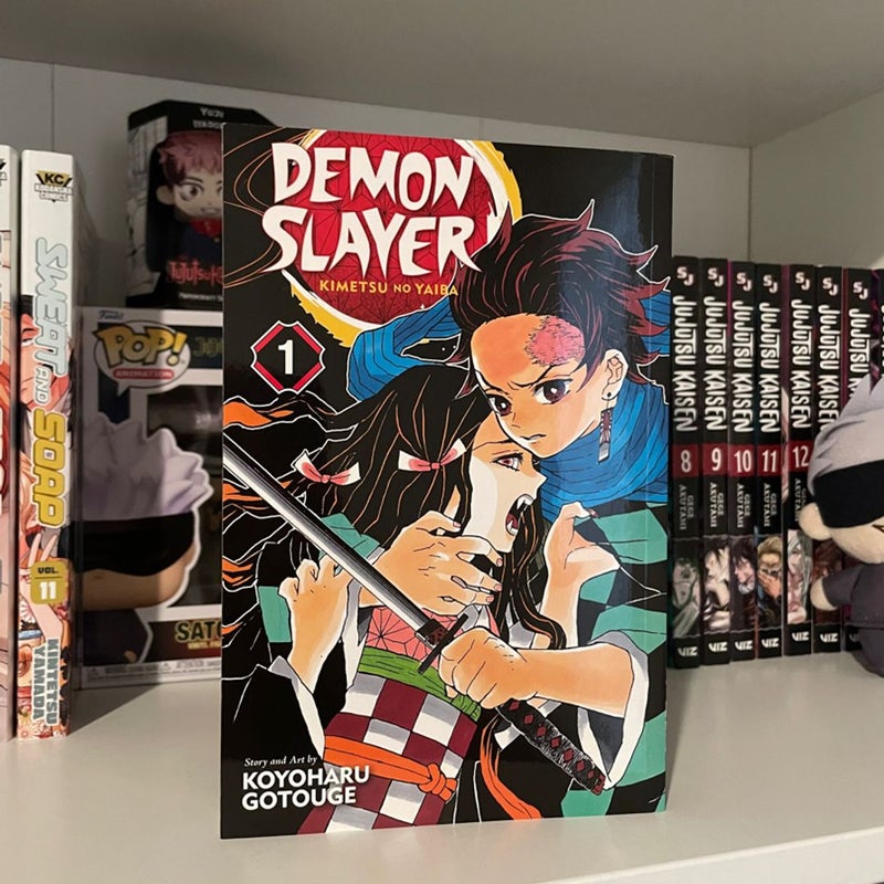 Demon Slayer: Kimetsu no Yaiba, Vol. 1 (1): 9781974700523: Gotouge,  Koyoharu: Books 