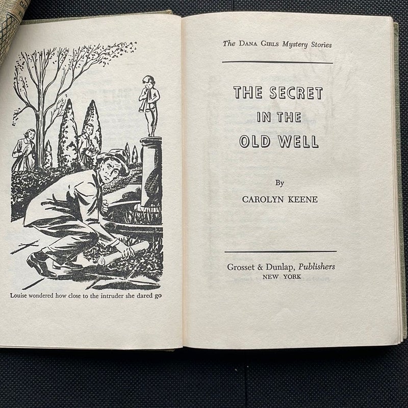 The Secret in the Old Well - 1st Edition 
