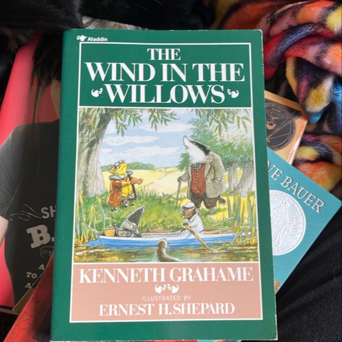Wind in the Willows by Kenneth Grahame