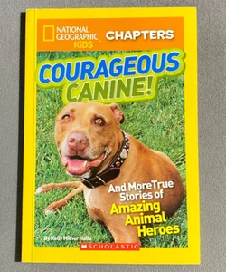 Courageous Canine!
