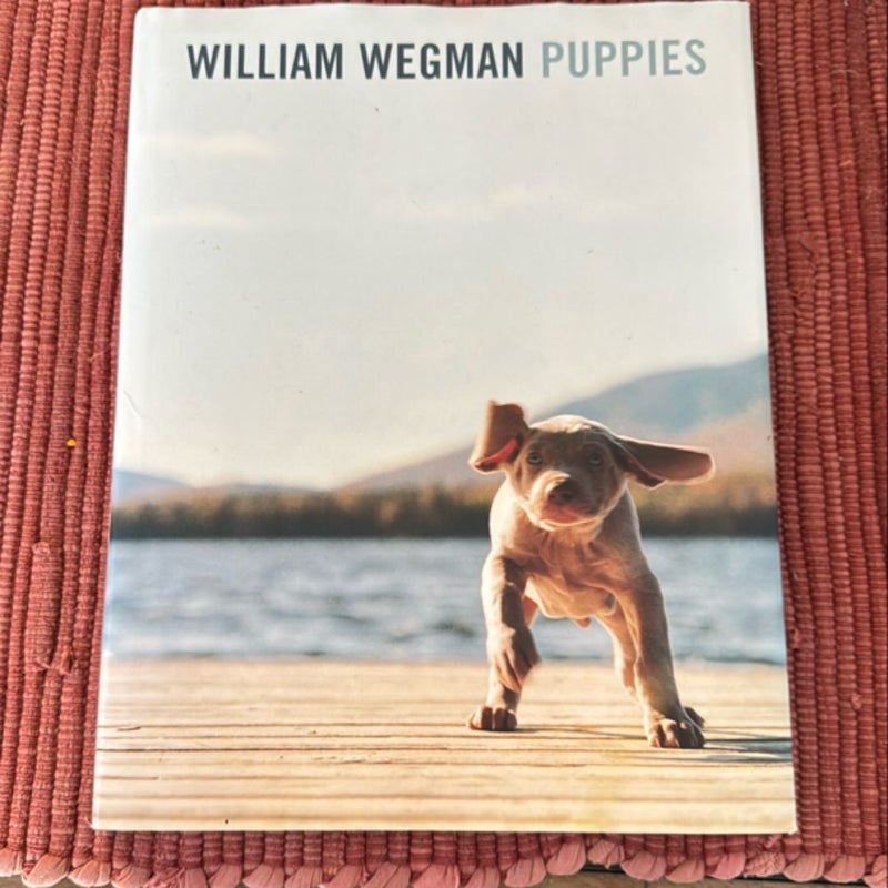 William Wegman Puppies