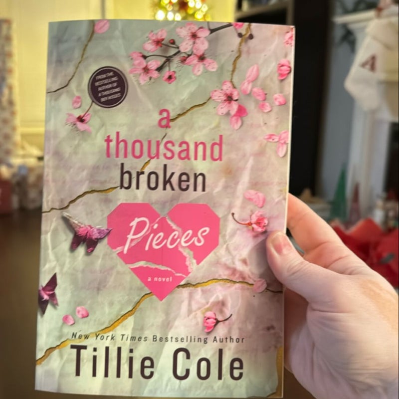 A Thousand Broken Pieces