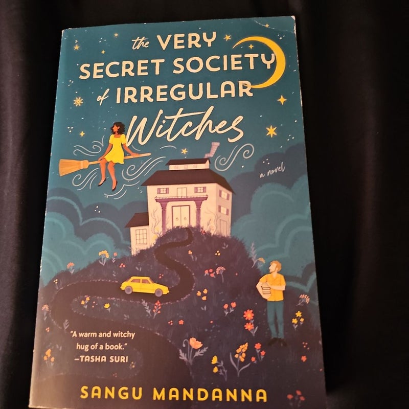 The Very Secret Society of Irregular Witches