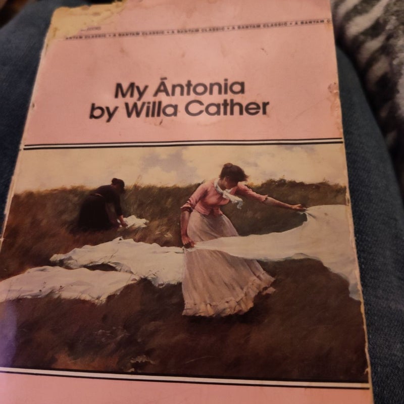 My Antonio